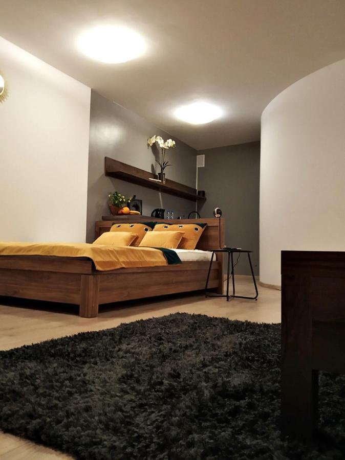Apartament Downtown Studio Zielona Góra Zewnętrze zdjęcie